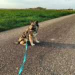 FB_IMG_1713001408107