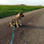 FB_IMG_1713001411580