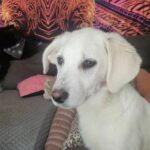 FB_IMG_1714307910347