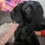 FB_IMG_1714308863494