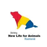Stichting-New-Life-for-Animals-Roemenië-Wit